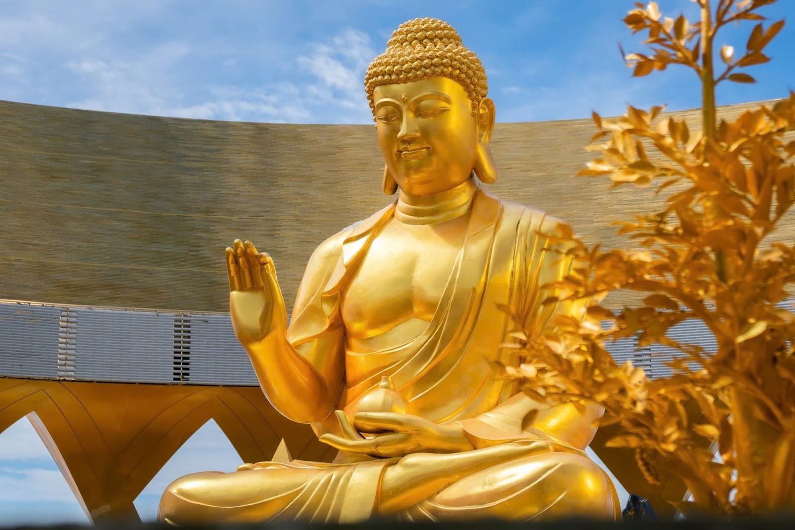  Tôn tượng Phật Câu Na Hàm khuôn mặt từ bi, đôi mắt mở dịu nhìn xuống.