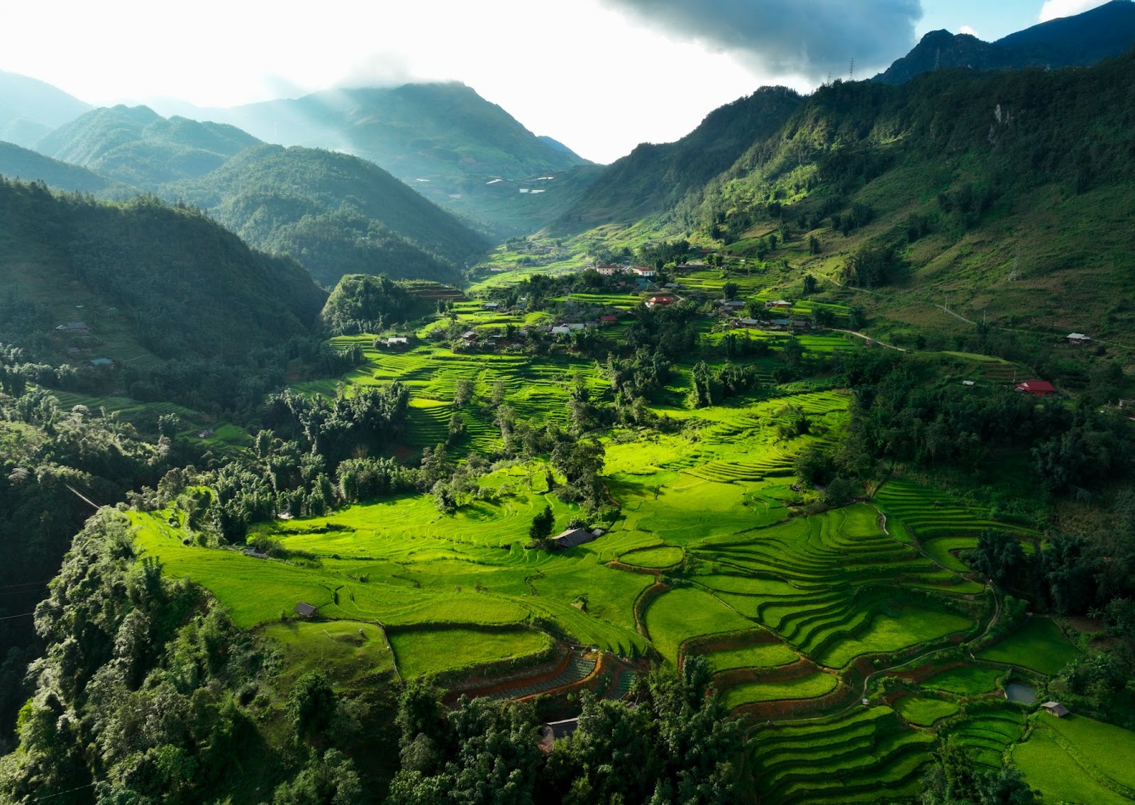  Terraced rice fields unfold like soft ribbons, gently embracing the mountains of Vietnam’s Northwest