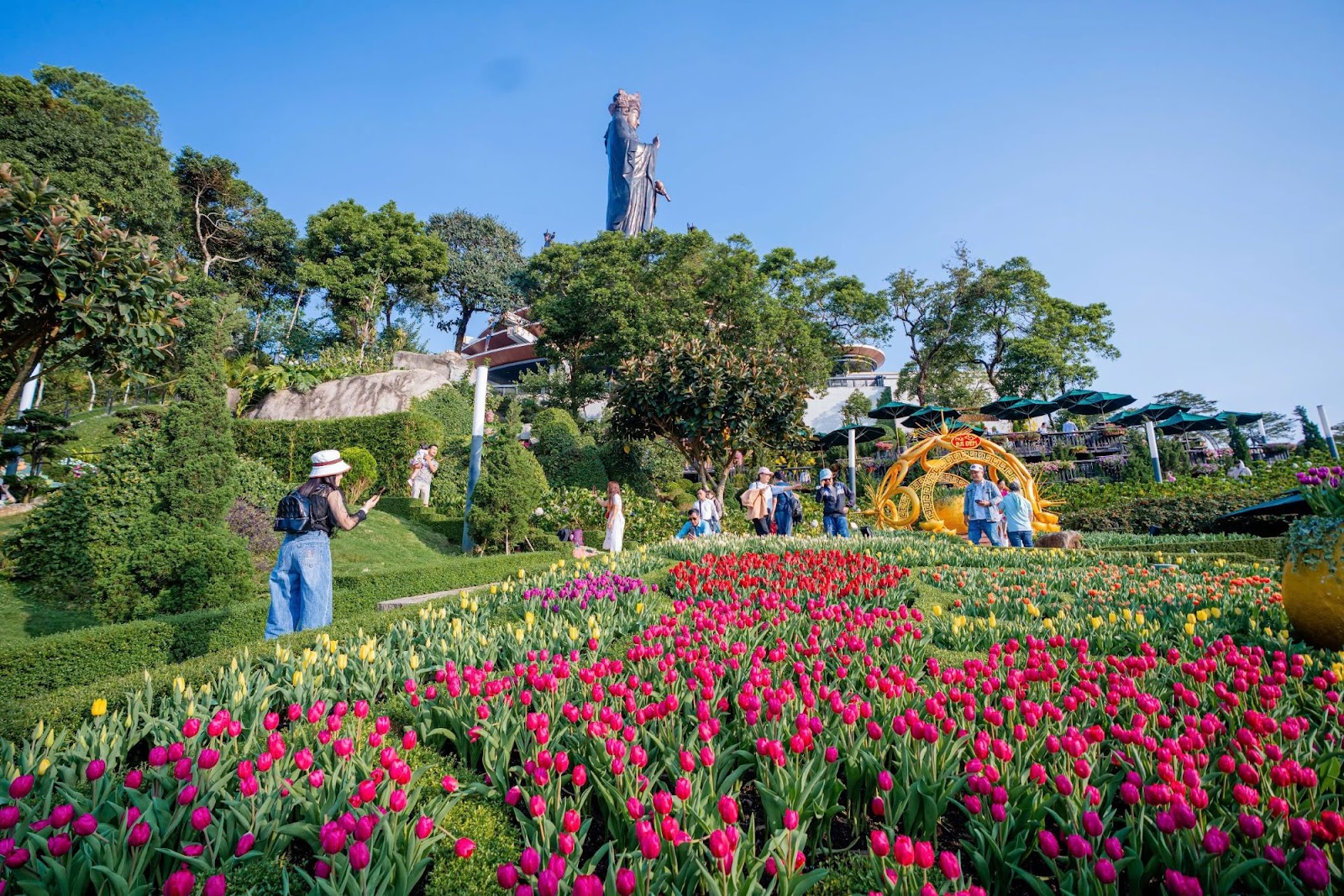 Hơn 120.000 bông hoa tulip khoe sắc rạng rỡ trên đỉnh núi Bà. Ảnh: Sun World Ba Den Mountain