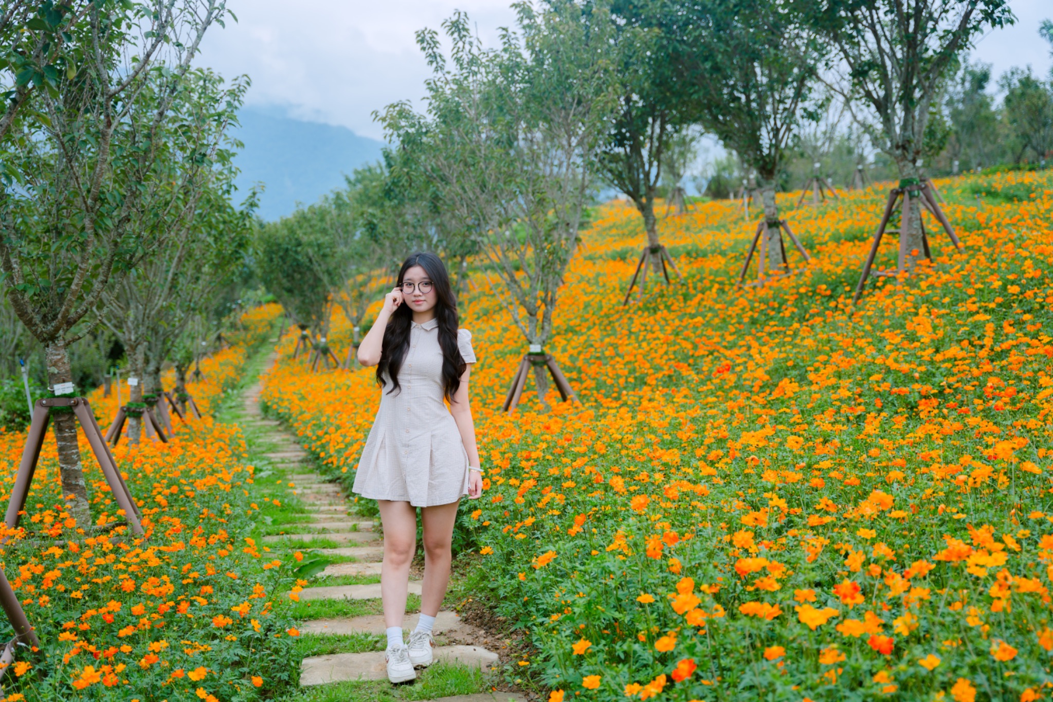  Thời điểm này, nhiều loài hoa cũng khoe sắc rực rỡ trên đỉnh Fansipan.